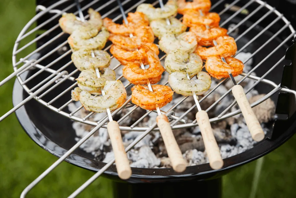 Braadrooster rond 40 cm Barbecook