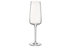 Champagneglas 24 cl Nexo