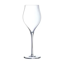 Champagneglas 35 cl set van 6 Exaltation