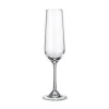 Champagneglas 20 cl Strix