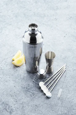 Cocktailset 6-delig RVS