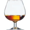 Cognacglas Degustation 25cl