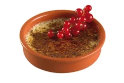 Creme brulee schaaltjes 12 cm set 4 terracotta