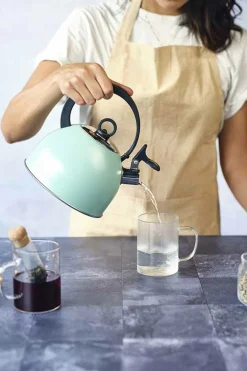 Fluitketel 1,7 L RVS met handvat Groen