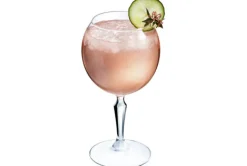 Gin glas Monti 58cl
