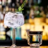 Gin Tonic cocktailglas 59 cl Libbey America
