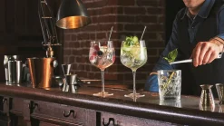 Gin Tonic glazen 76 cl set van 6