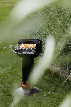 Houtskool Barbecue Loewy 40