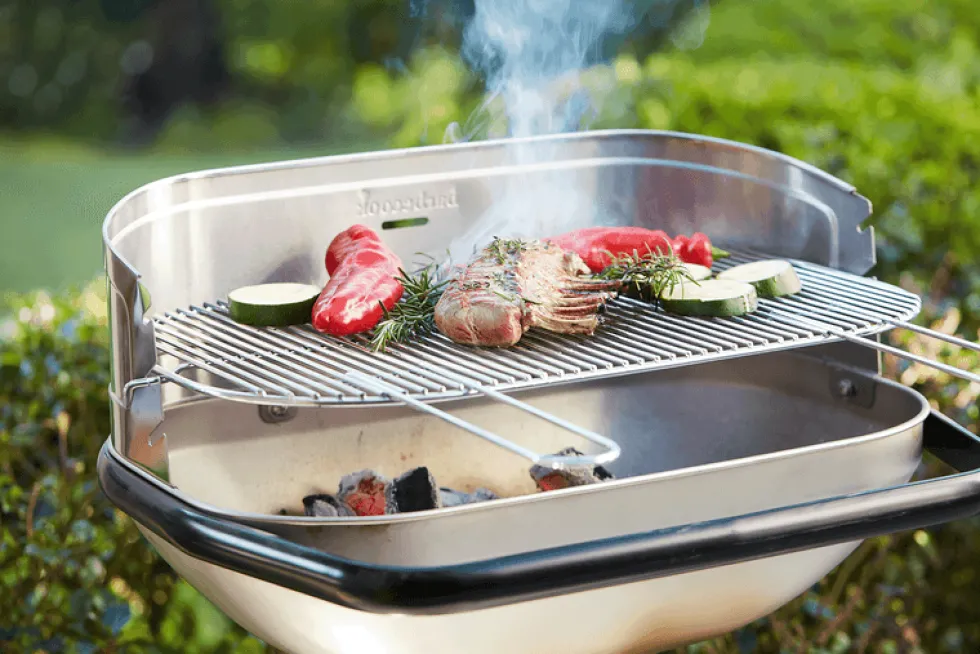 Houtskool Barbecue Loewy RVS 55