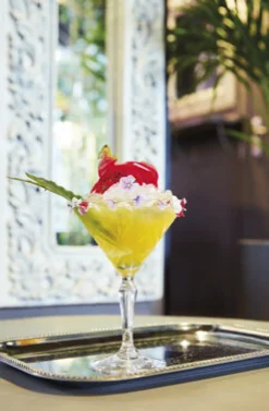 Martiniglas 21 cl Broadway
