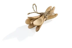 Mini lepeltjes bamboe set van 6