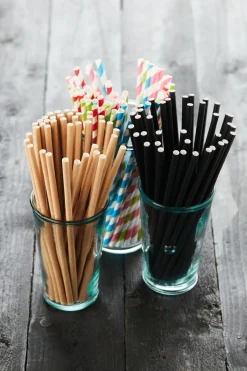 Rietjes Zwart Papier set van 48