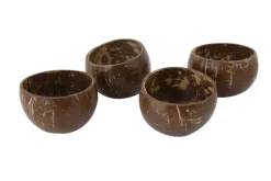 Schaal 35 - 50 cl Coconut Cosy & Trendy - Set van 4 stuks