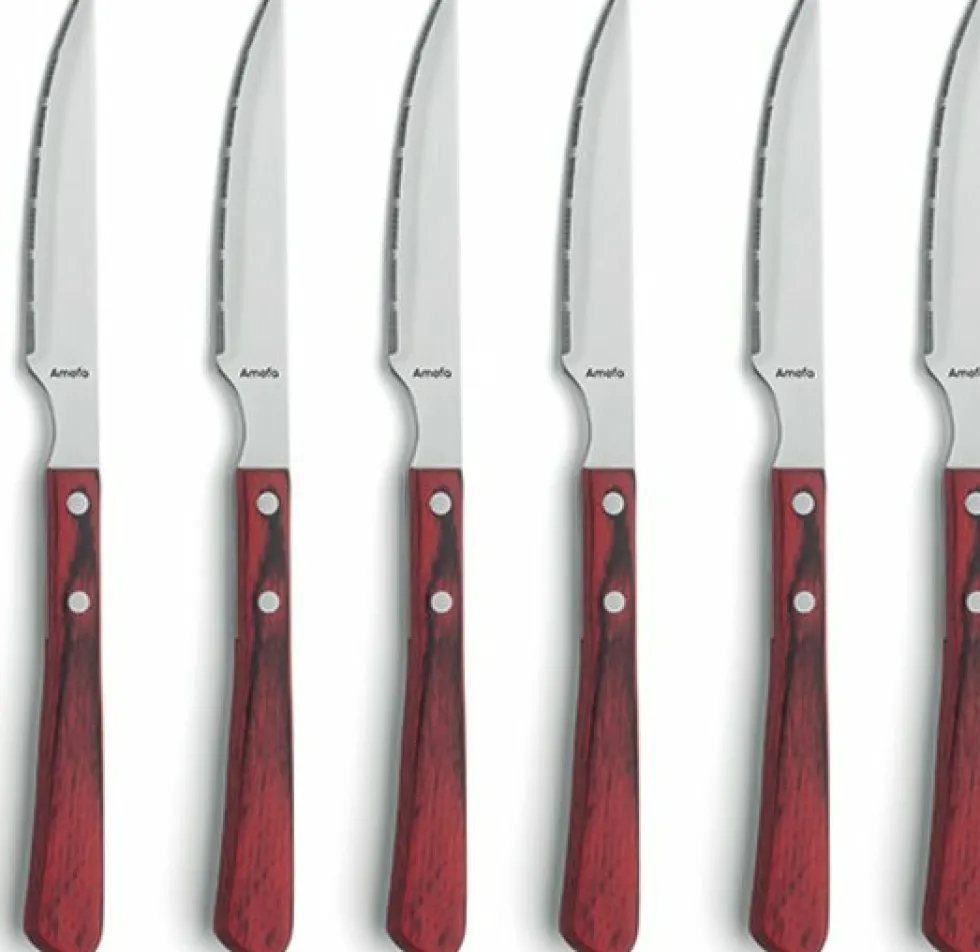 Steakmessen set 6 delig Brasero Amefa