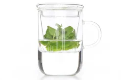 Theeglas met filter 470ml Borosilicate