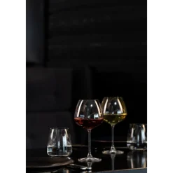 Wijnglas 29 cl Experts Collection